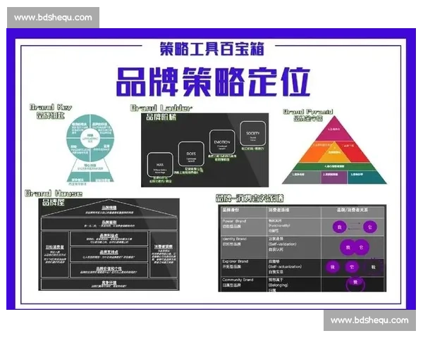 企业直播运营全流程解析与优化策略提升品牌影响力